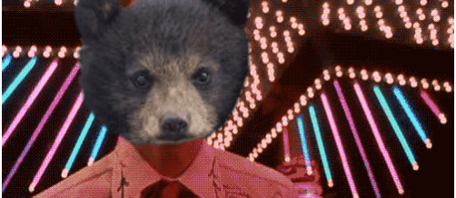 20190112_194010.gif