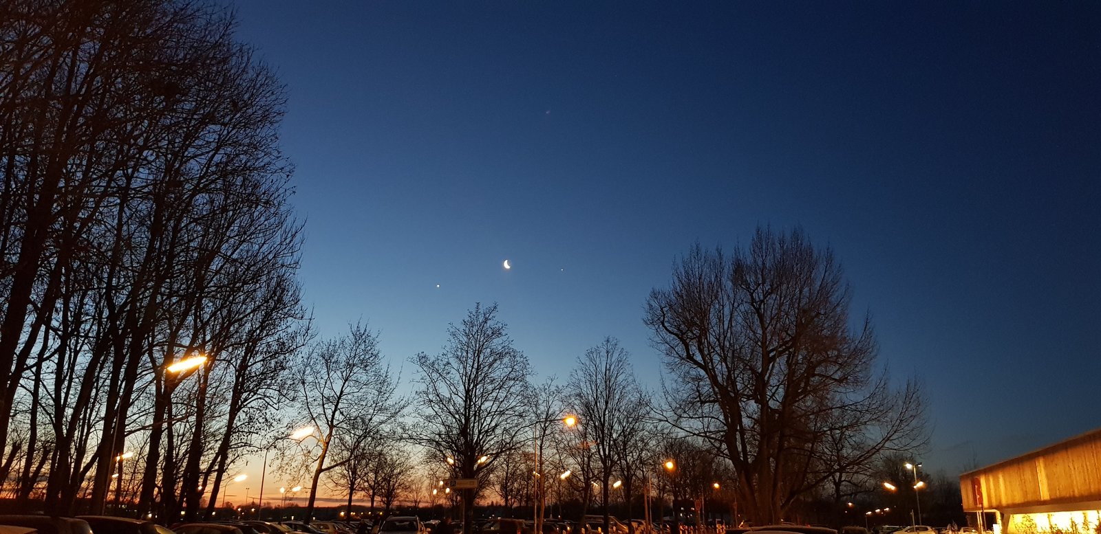 20190131_070427.jpg