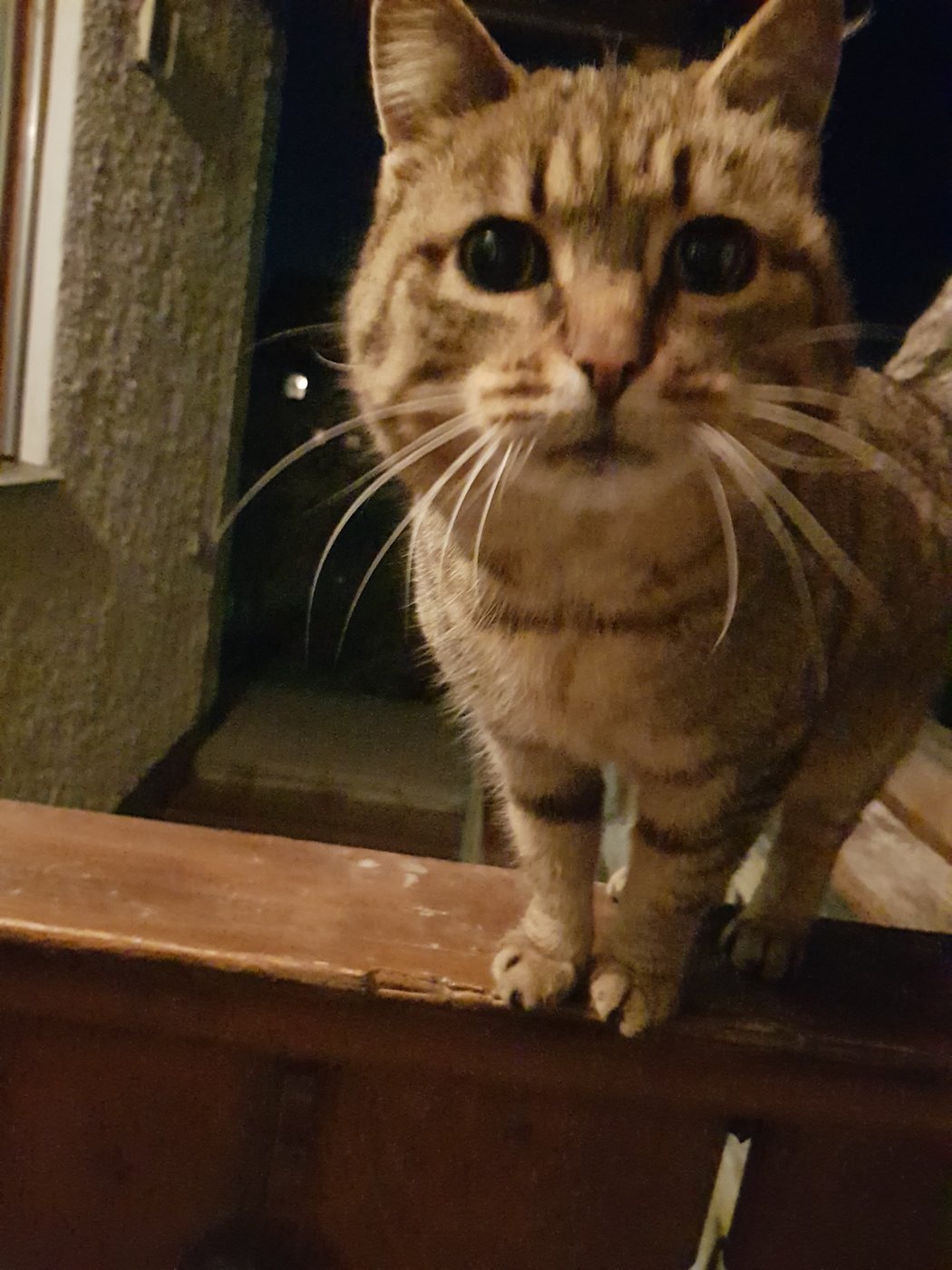 20190215_185854.jpg