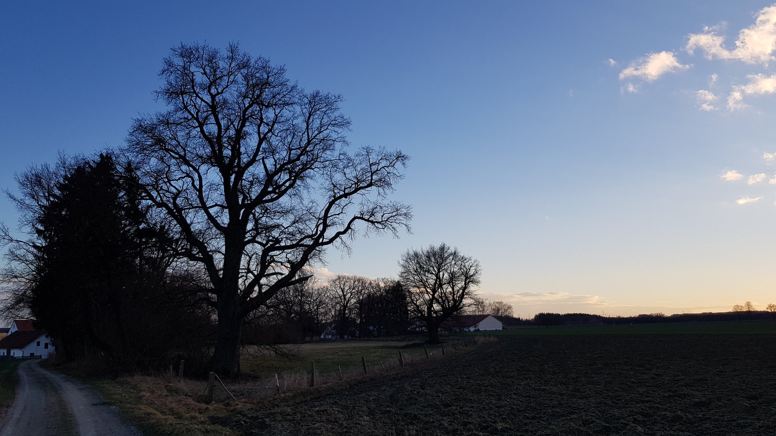 20190308_174133.jpg