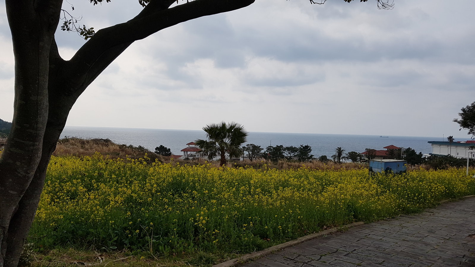 20190315_100429.jpg