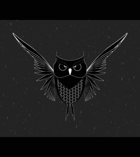 20190402_222346.gif