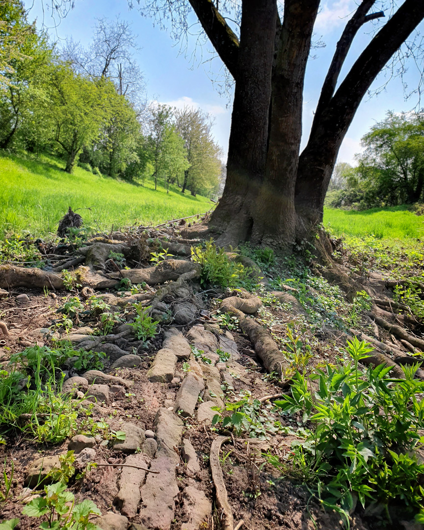 20190415_142234.jpg