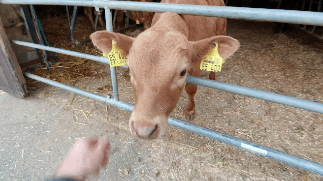 20190416_182533_1.gif