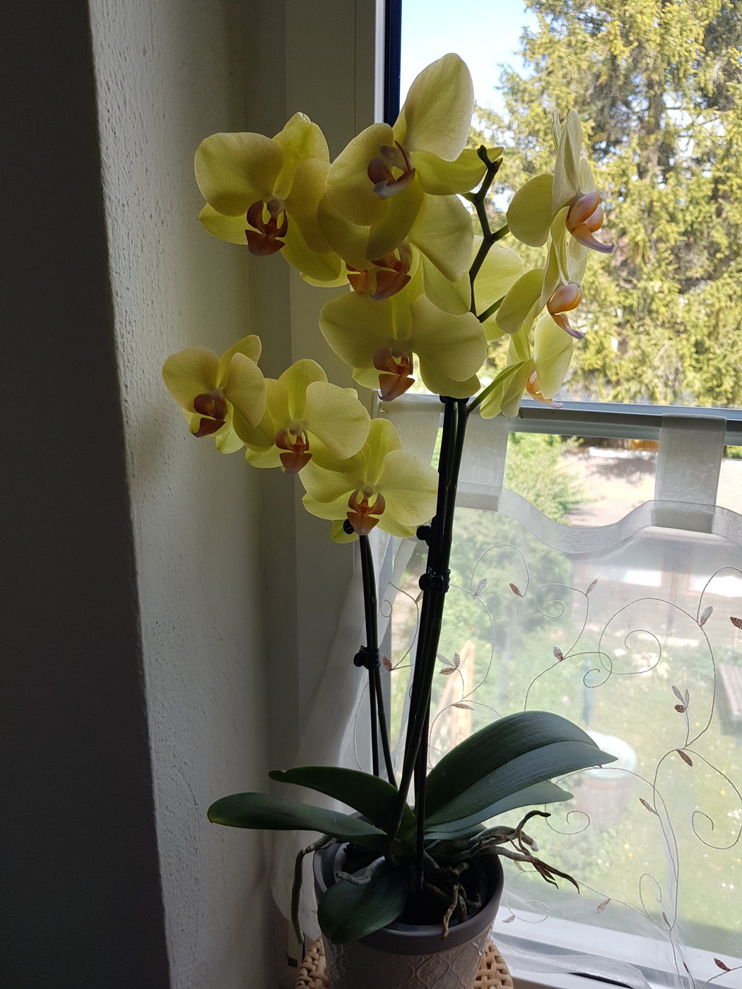 20190425_124917.jpg