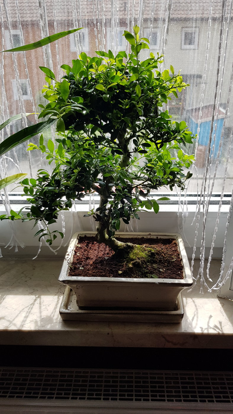20190425_132308.jpg
