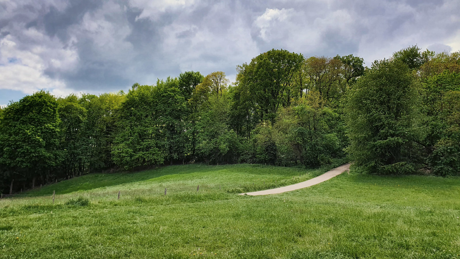 20190505_130316.jpg