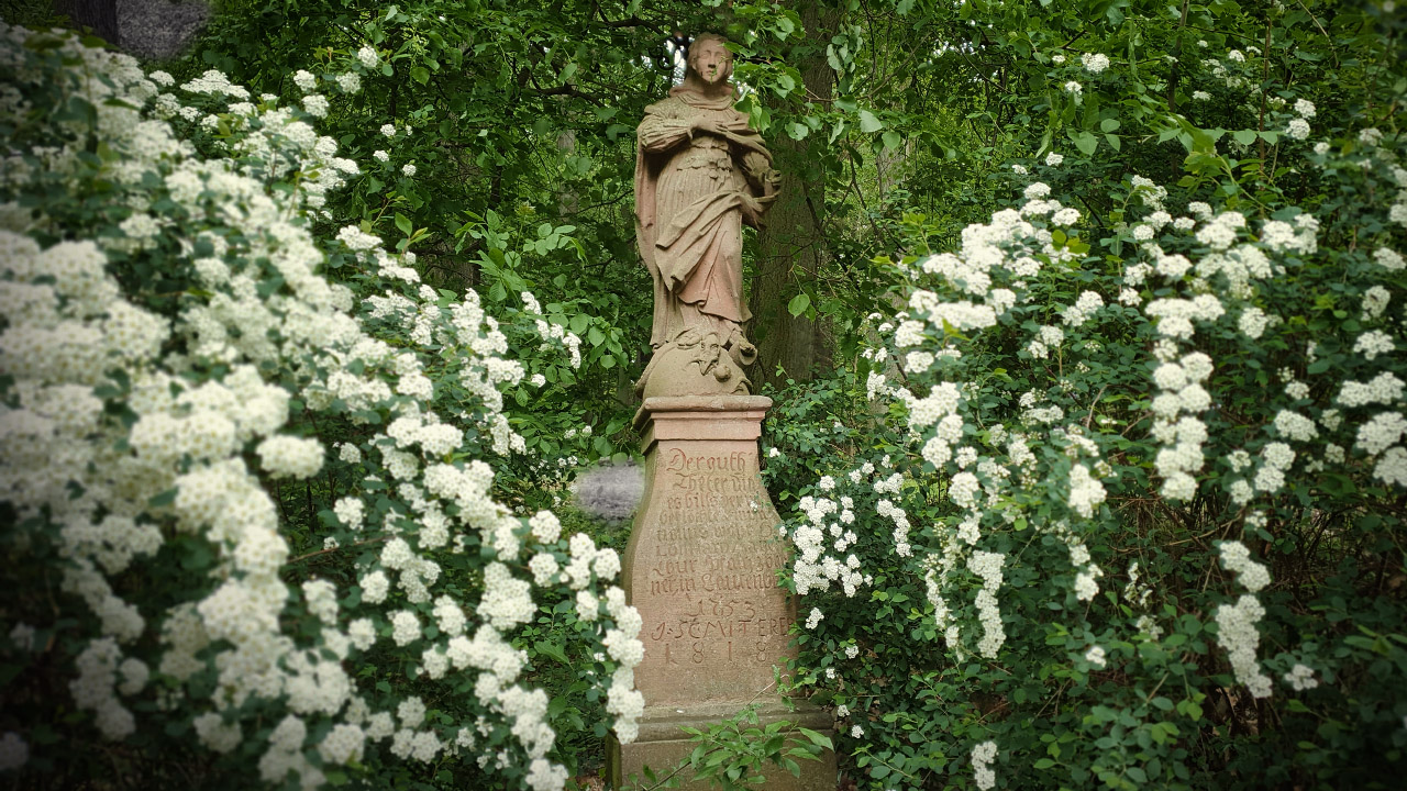 20190505_134415.jpg