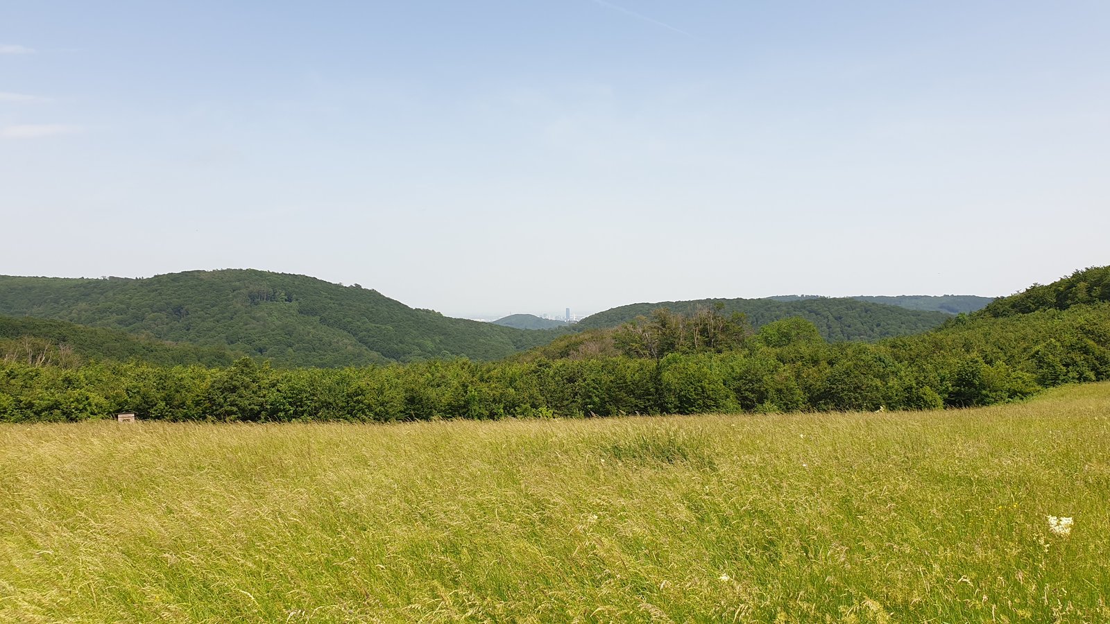 20190610_151053.jpg