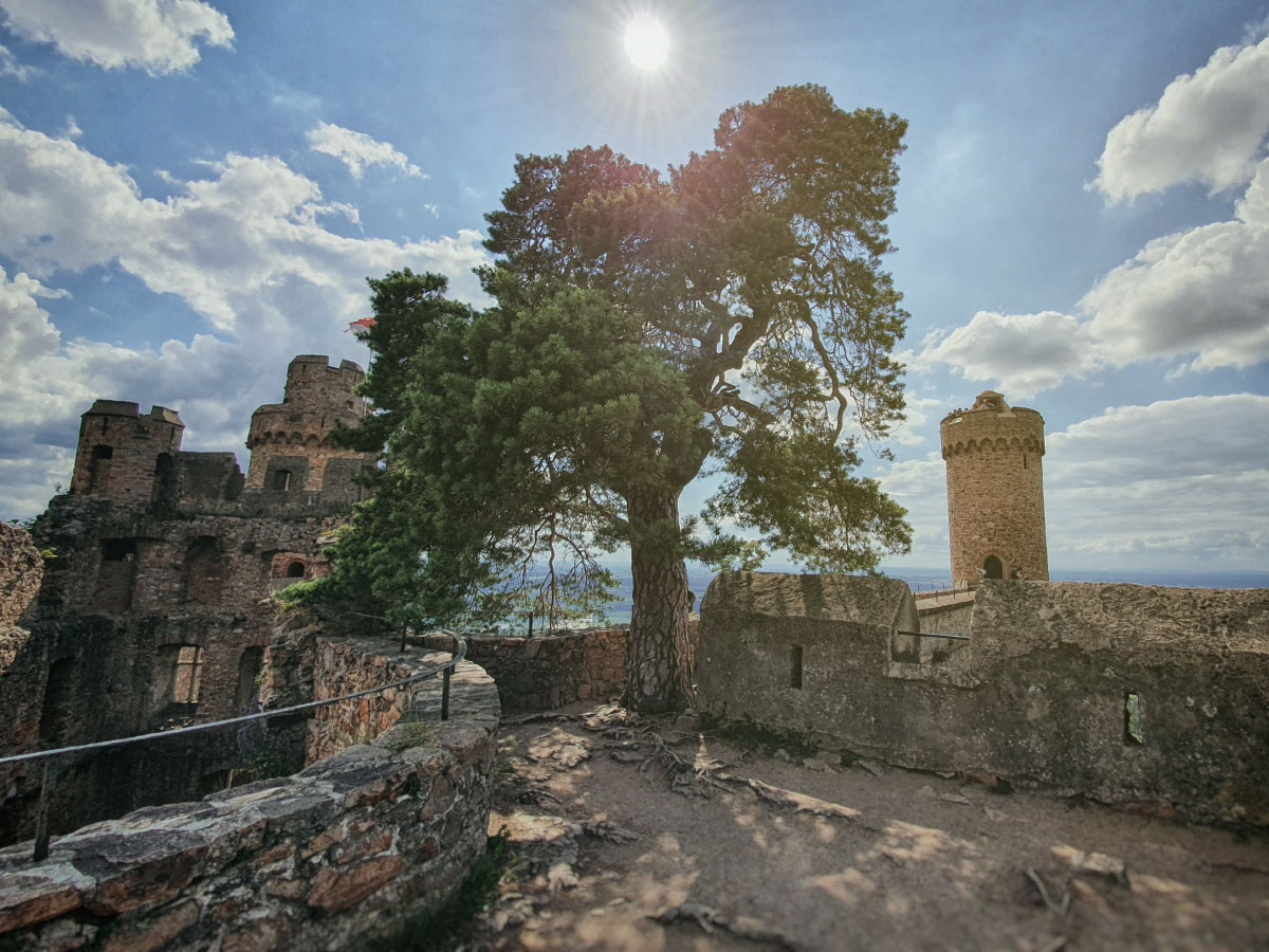 20190616_164558.jpg