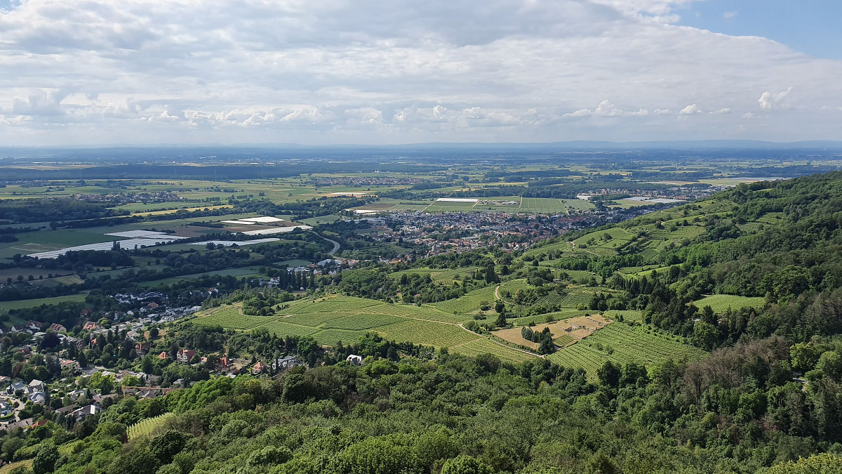 20190616_165048.jpg