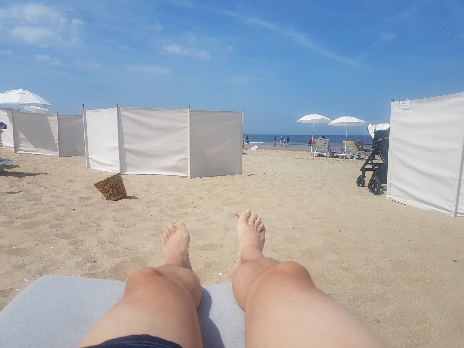 20190625_120358.jpg