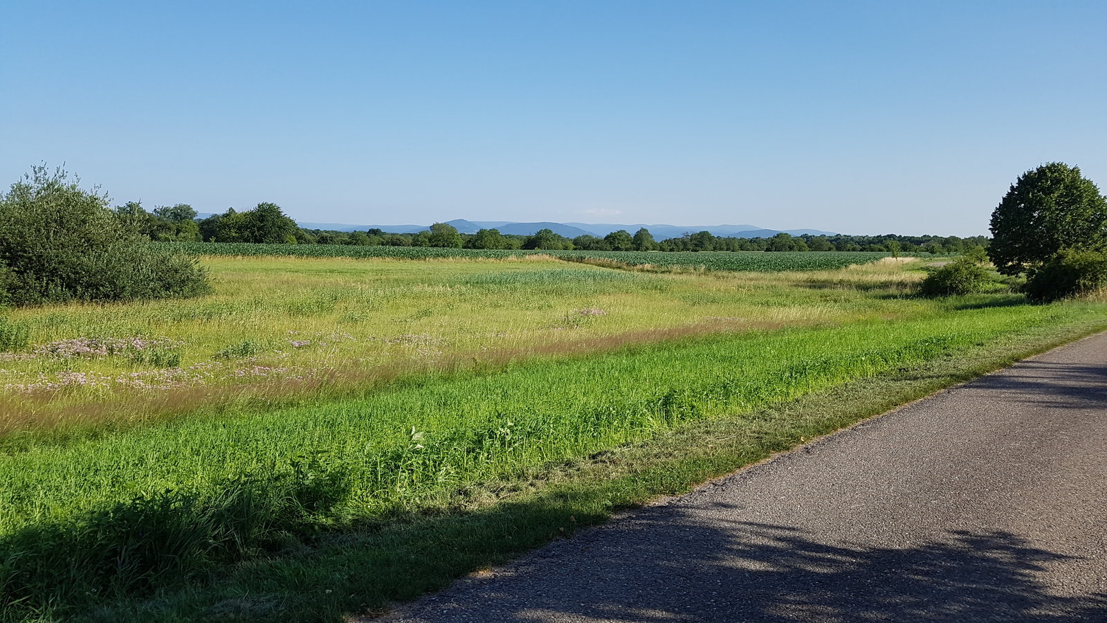 20190627_183411.jpg