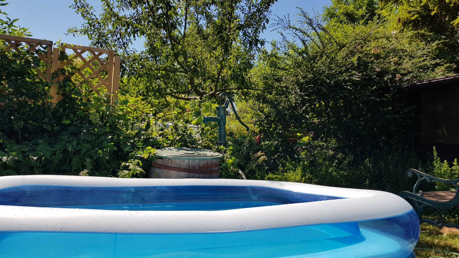 20190629_161121.jpg