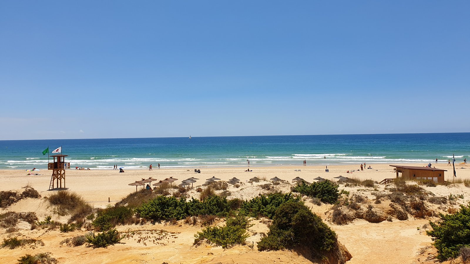 20190704_151725.jpg
