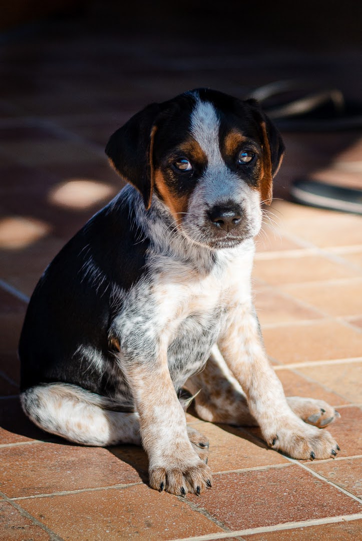20190720_Pakostane2019_165.jpg