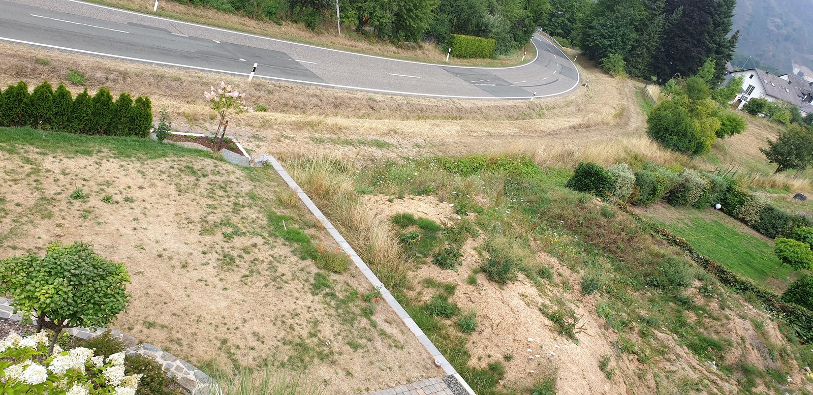 20190803_113541.jpg