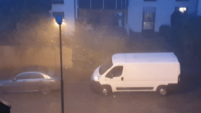 20190806_210301_1.gif