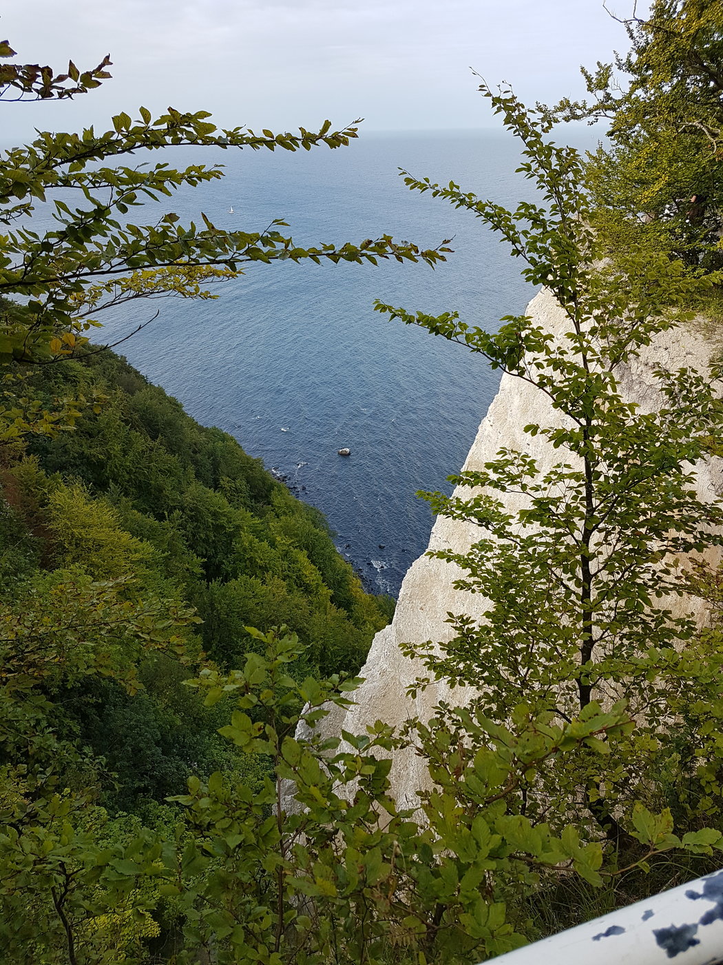 20190817_164330.jpg