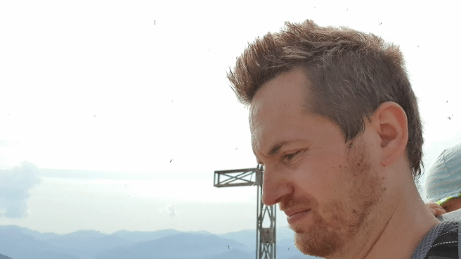 20190824_113722_1.gif