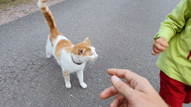 20190905_182947_1.gif
