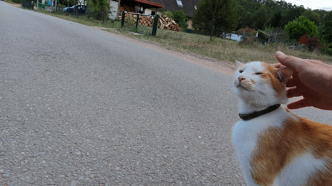 20190905_182947_2.gif