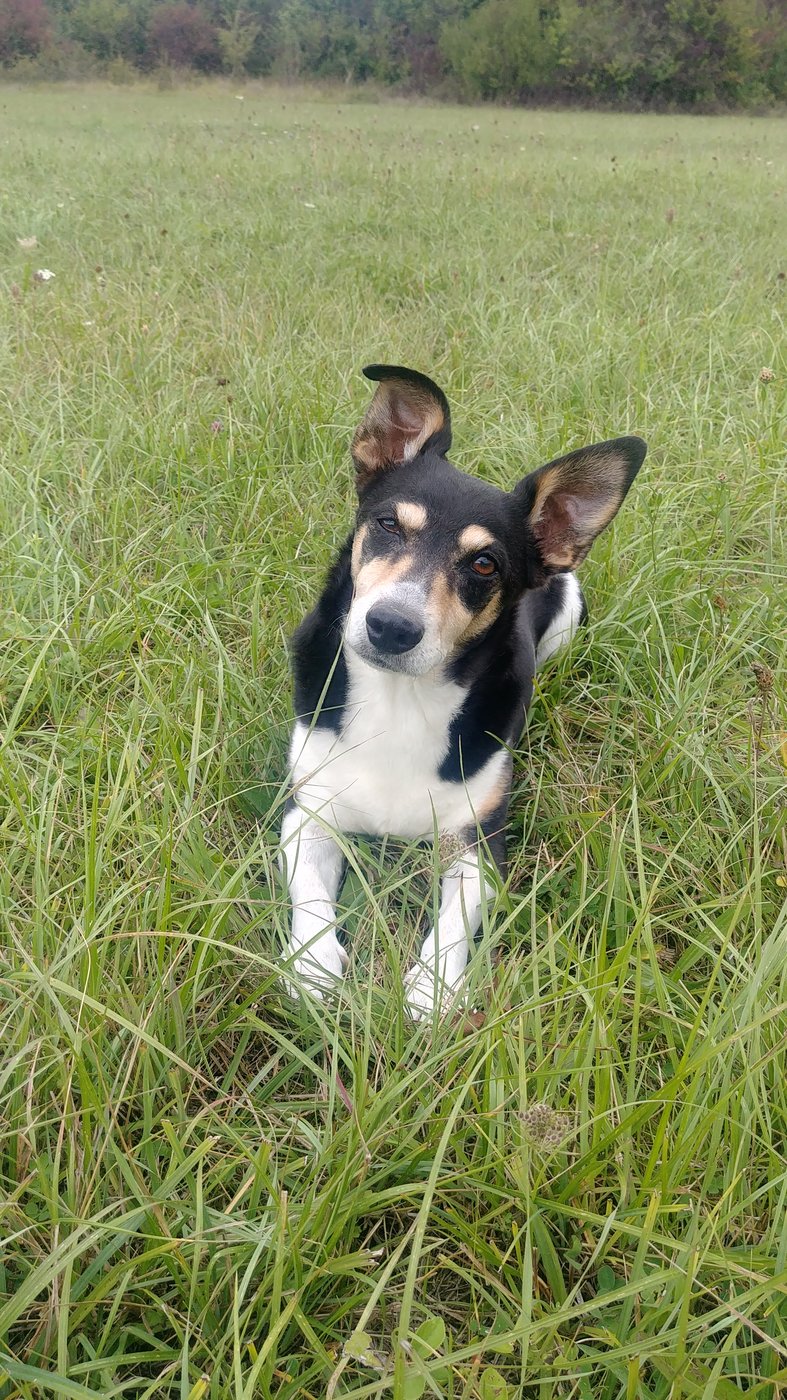 20190913_130718_HDR.jpg