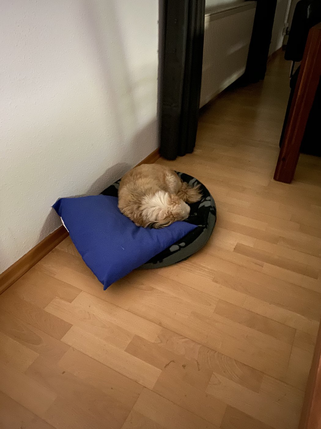 20190920_203347152_iOS.jpg