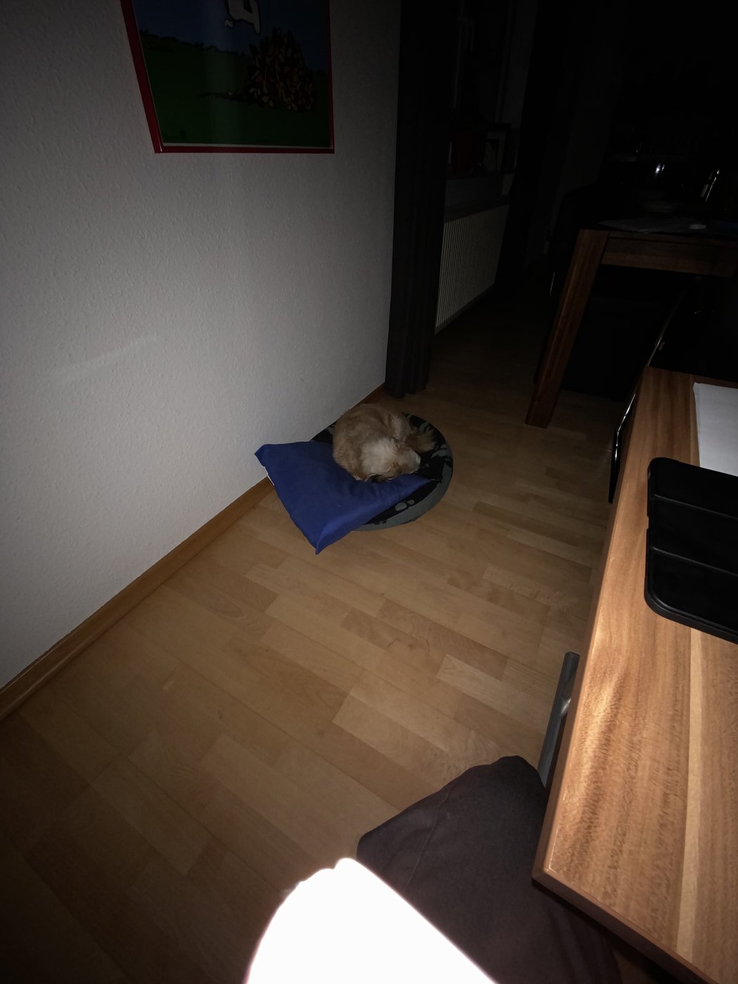 20190920_203413951_iOS.jpg
