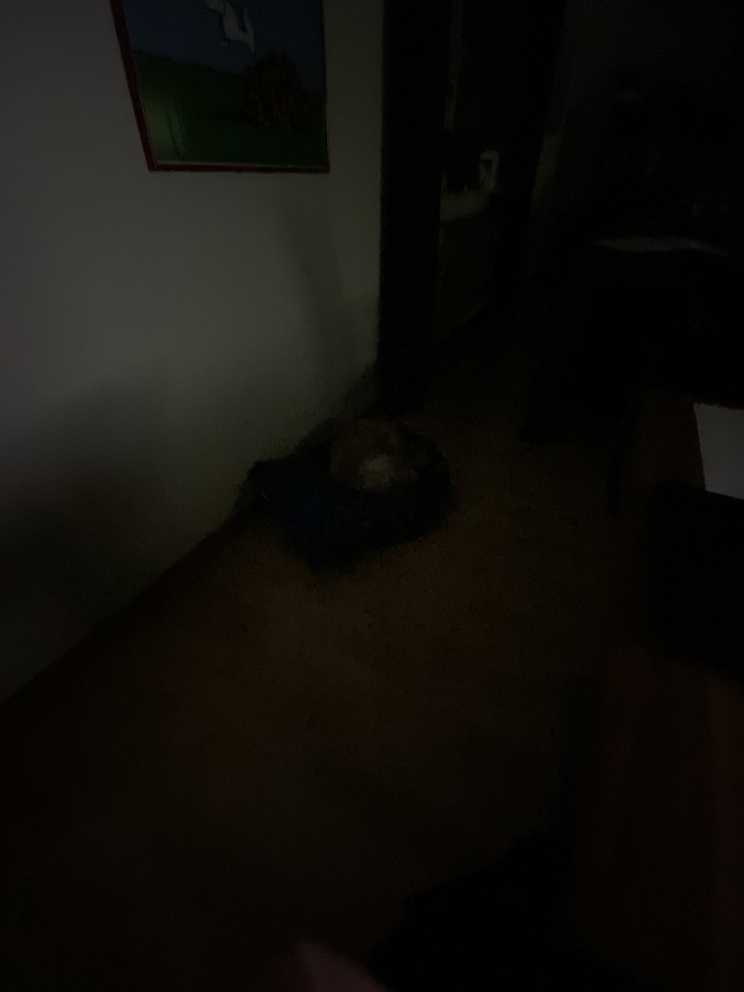 20190920_203417945_iOS.jpg