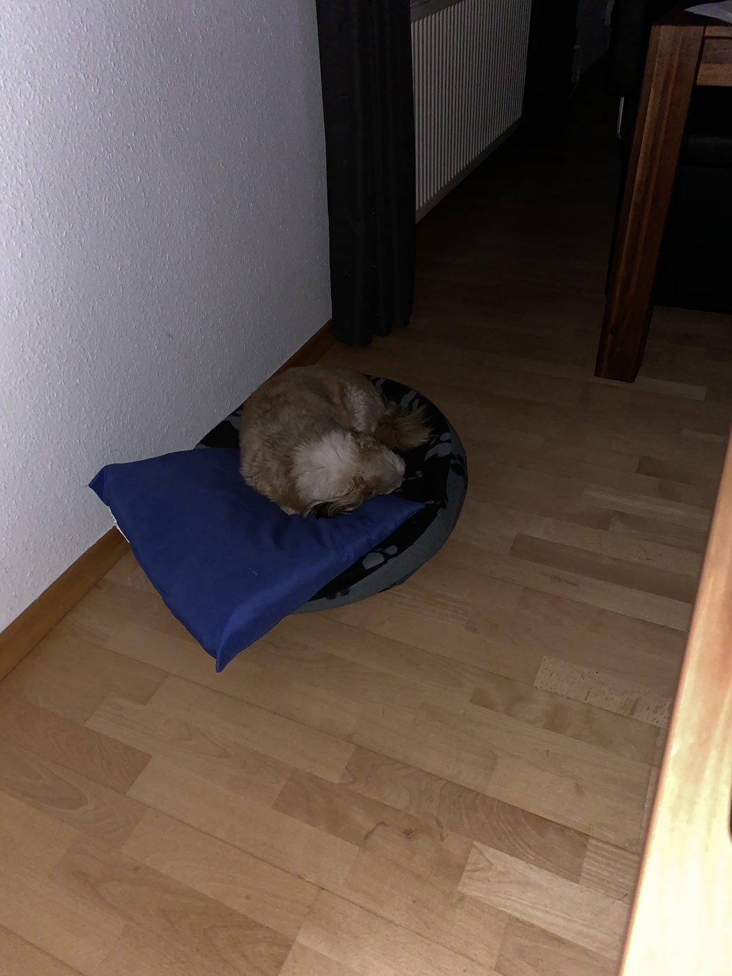 20190920_203828539_iOS.jpg