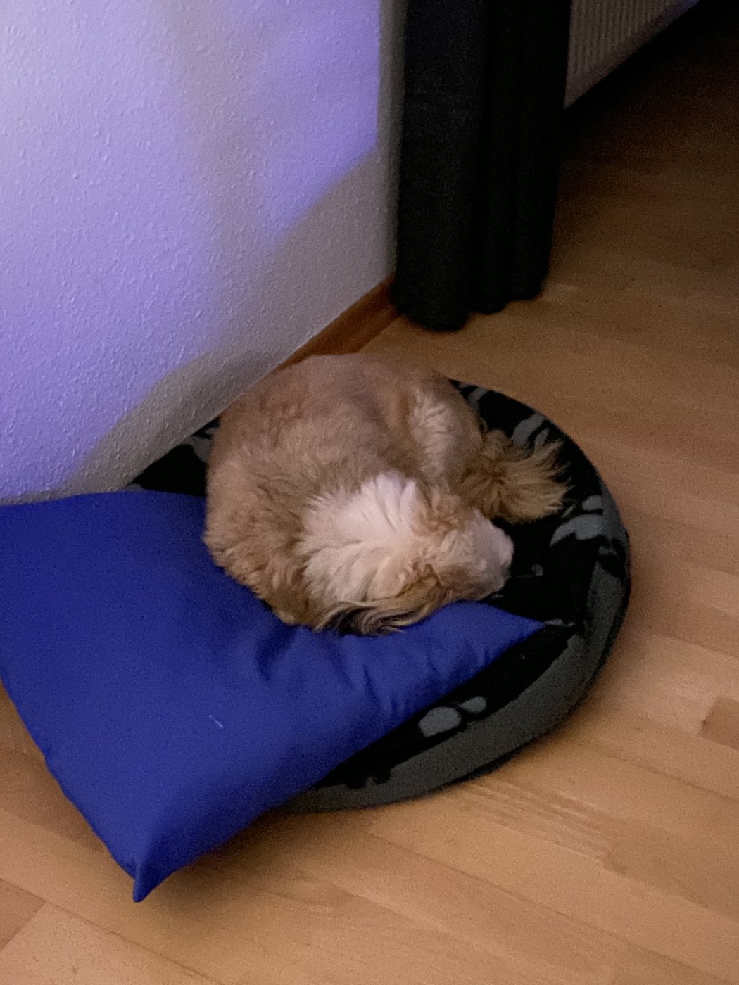 20190920_203930826_iOS.jpg