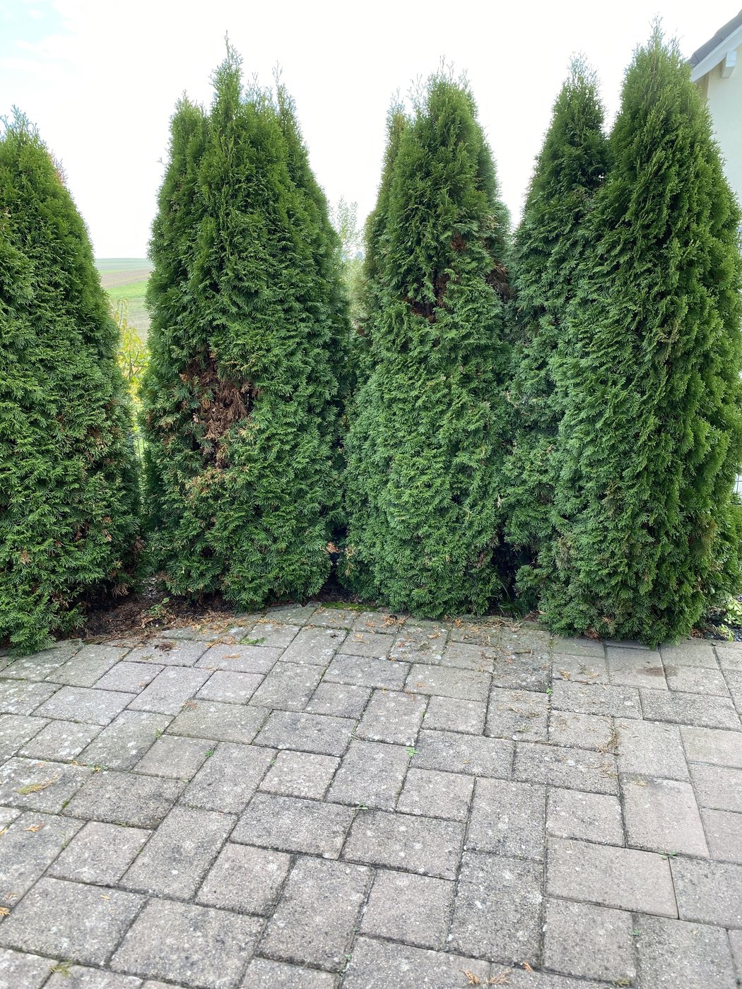 20191116_124542458_iOS.jpg