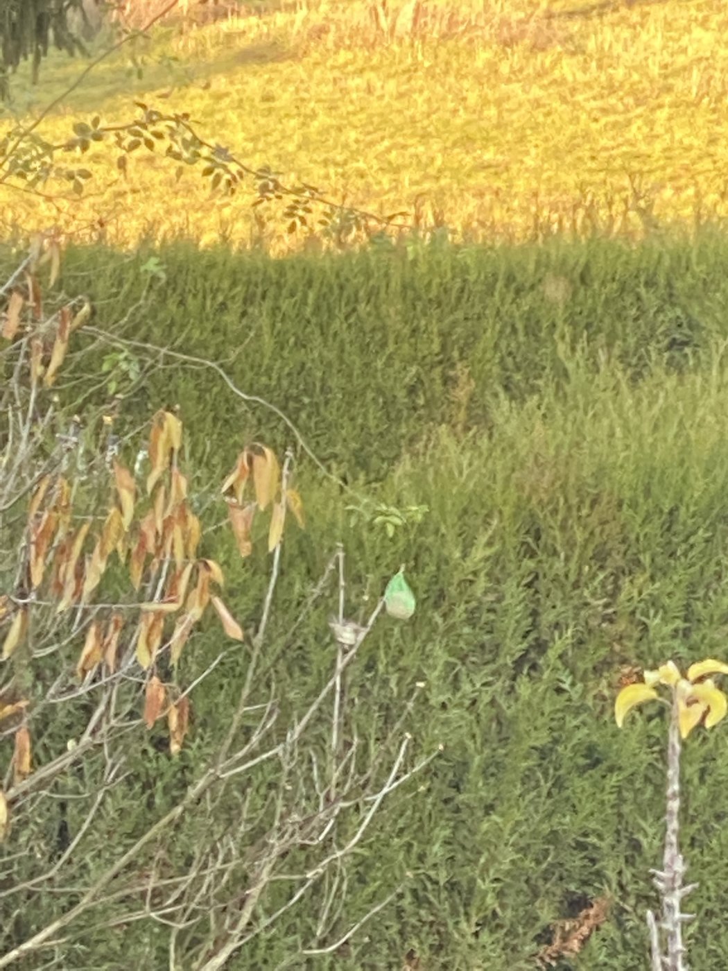 20191204_144251397_iOS.jpg