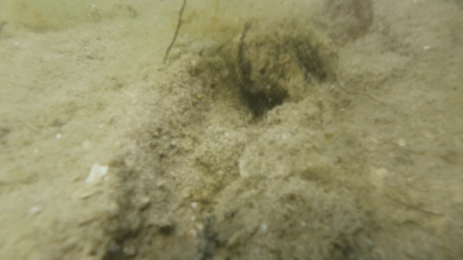 20200601_130737_1.gif