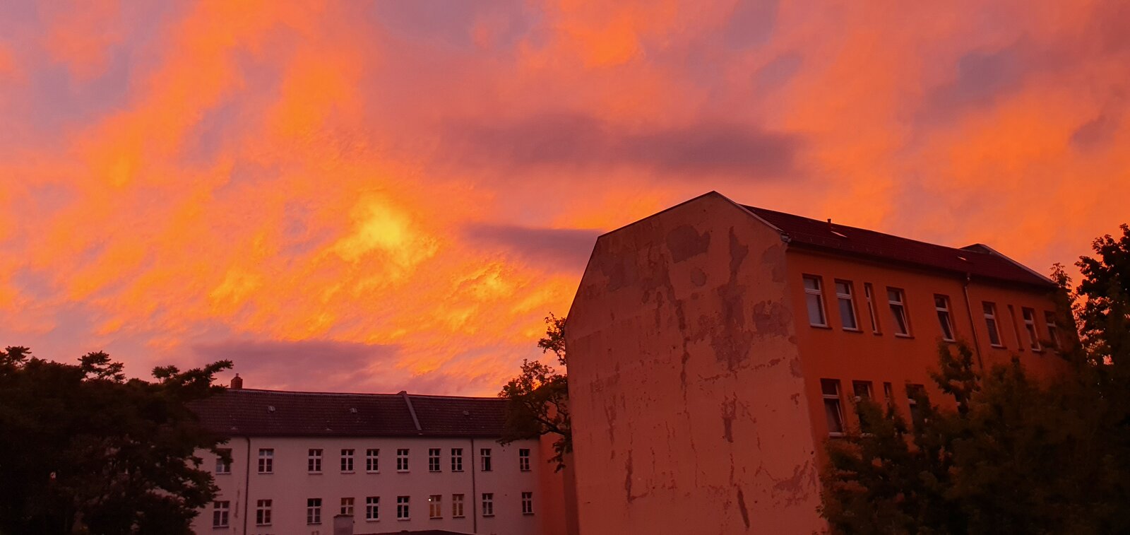 20200607_212303.jpg