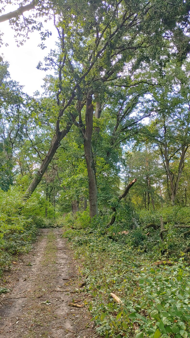 20200815_161344_HDR-01.jpeg
