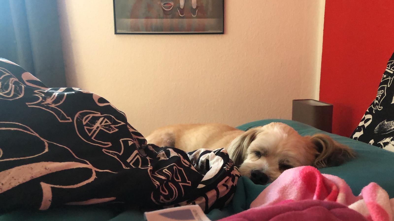 20200911_165301000_iOS.jpg