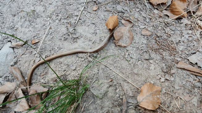20200914_114242_1_1.gif