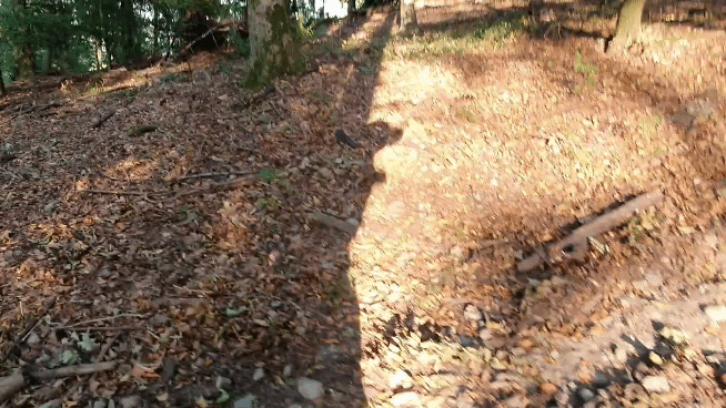 20200914_181013_1_1.gif