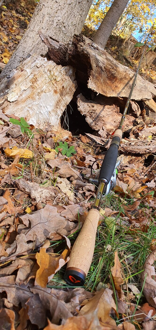 20201103_123208.jpg