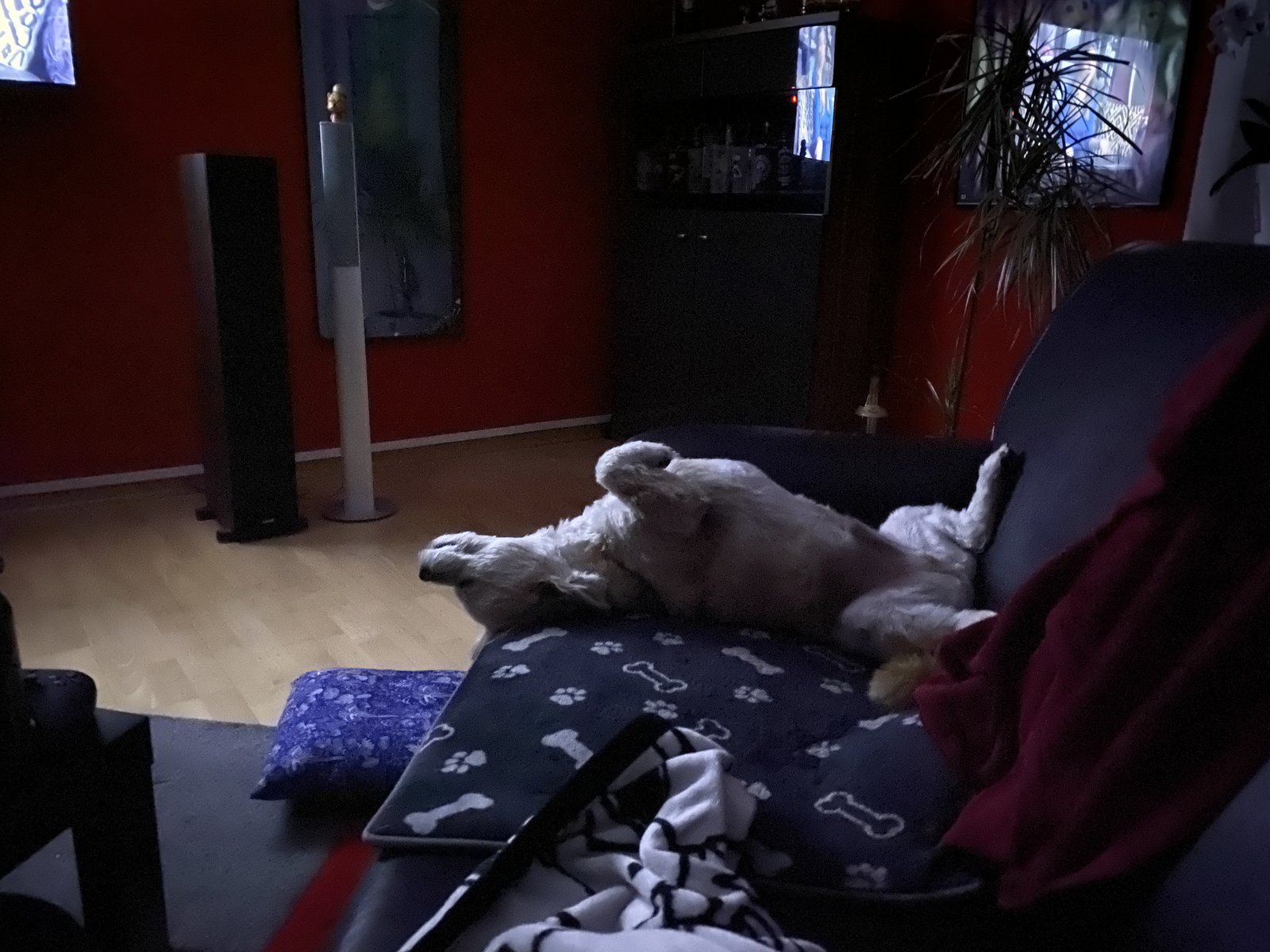 20201122_220105729_iOS.jpg