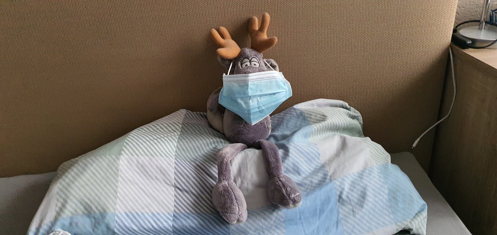 20201211_114113.jpg
