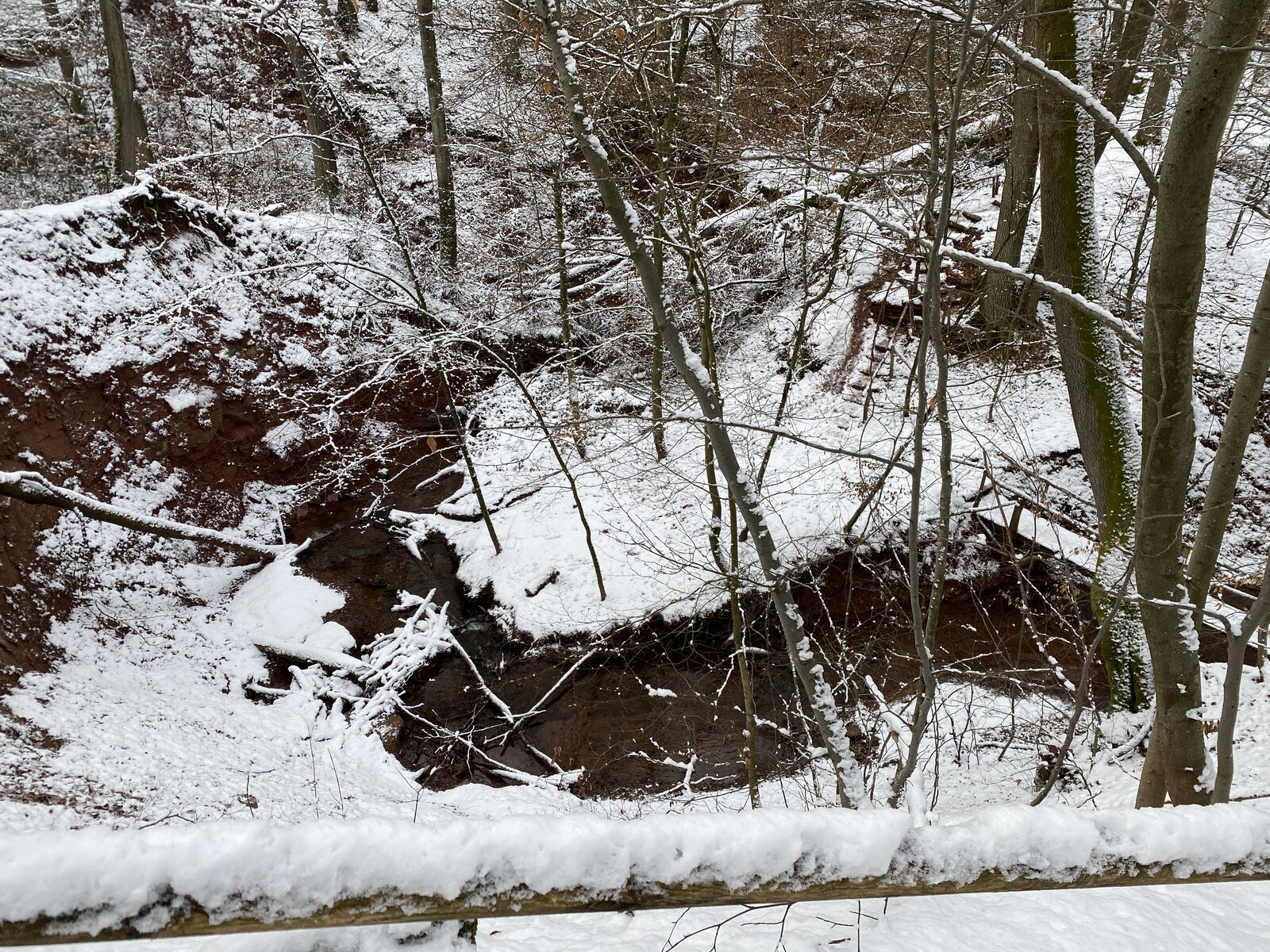 20210116_135239686_iOS.jpg