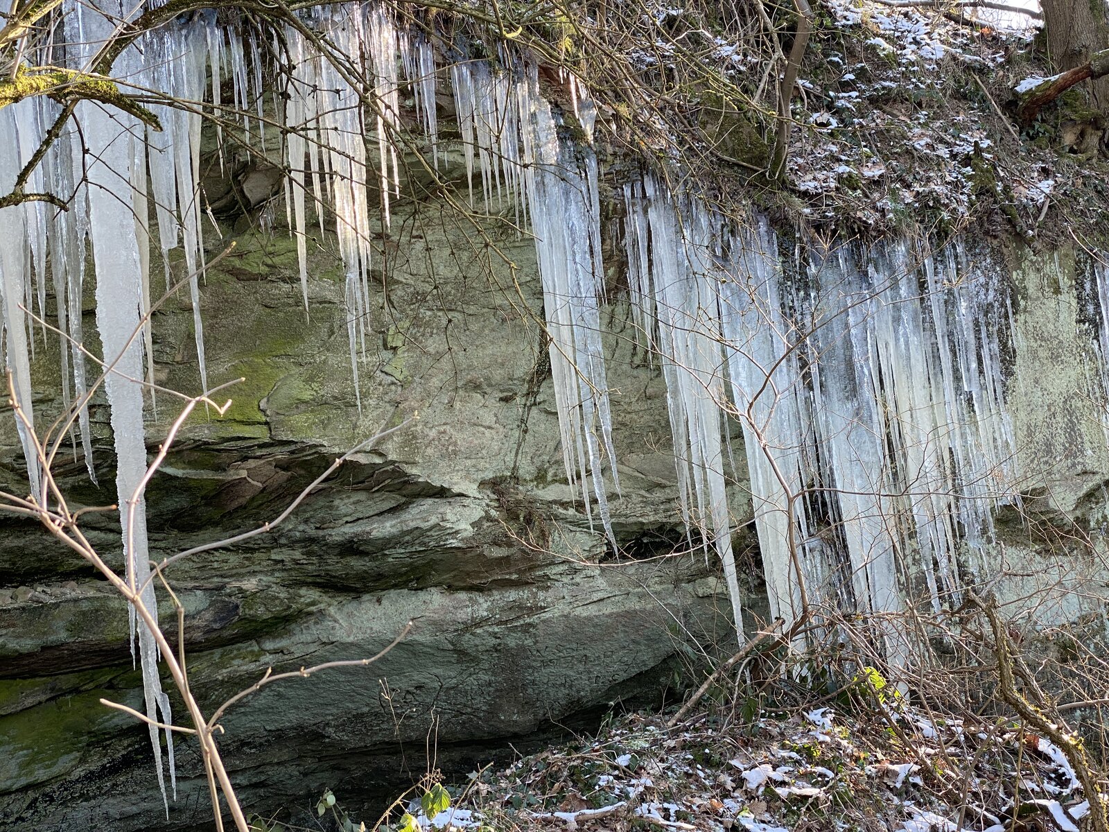 20210214_142026153_iOS.jpg