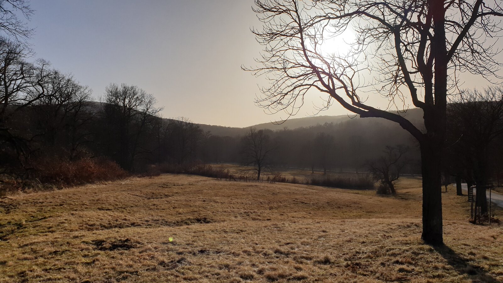 20210226_155557.jpg