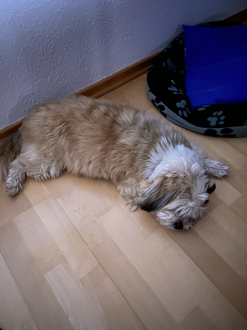 20210304_222353199_iOS.jpg