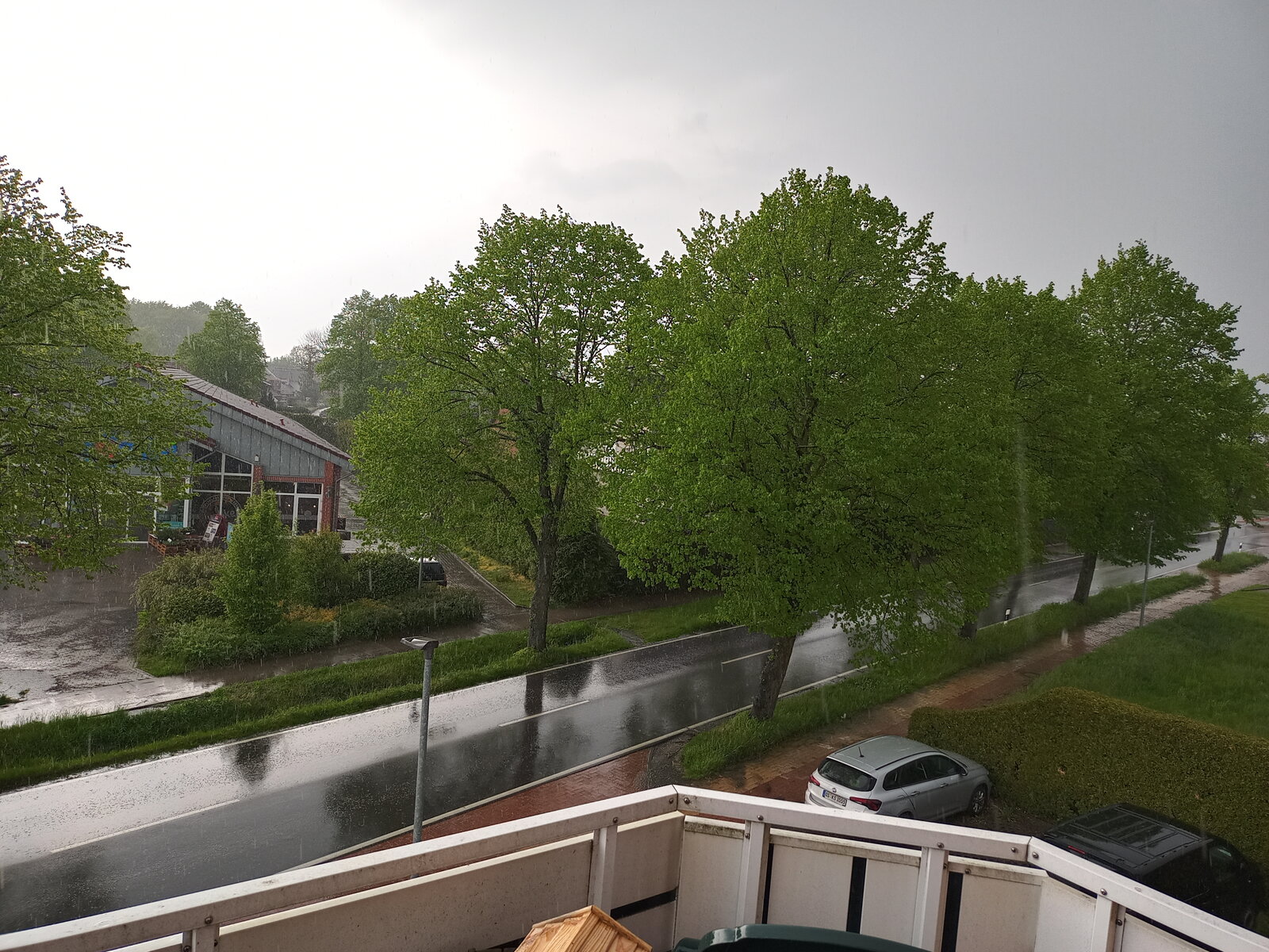 20210515_165349_HDR.jpg