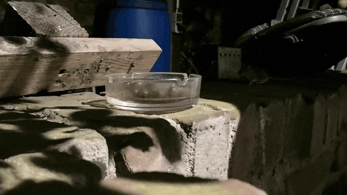 20210524_014916.gif