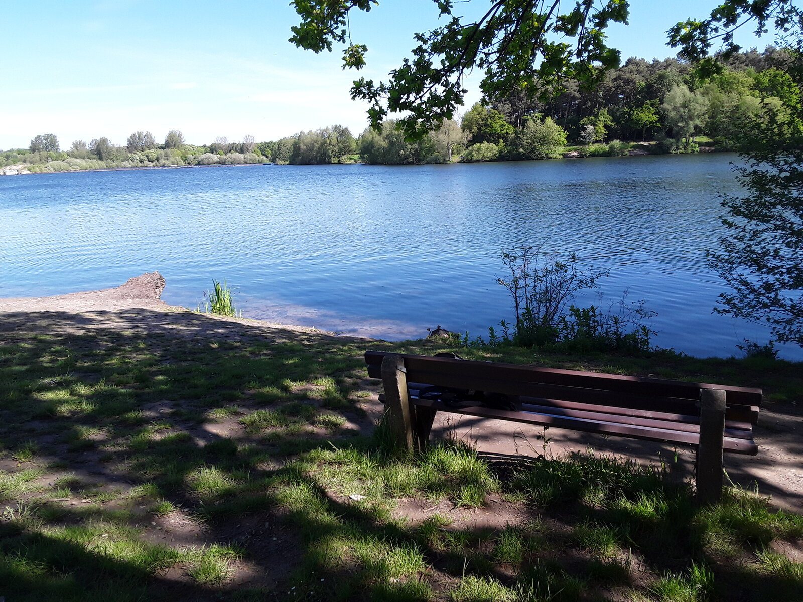 20210524_101246.jpg